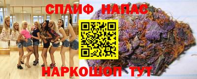 тгк Камышлов