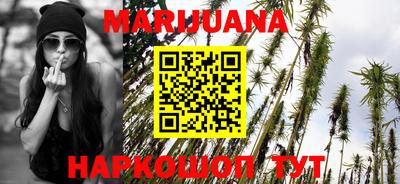 тгк Камышлов