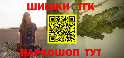 тгк Камышлов